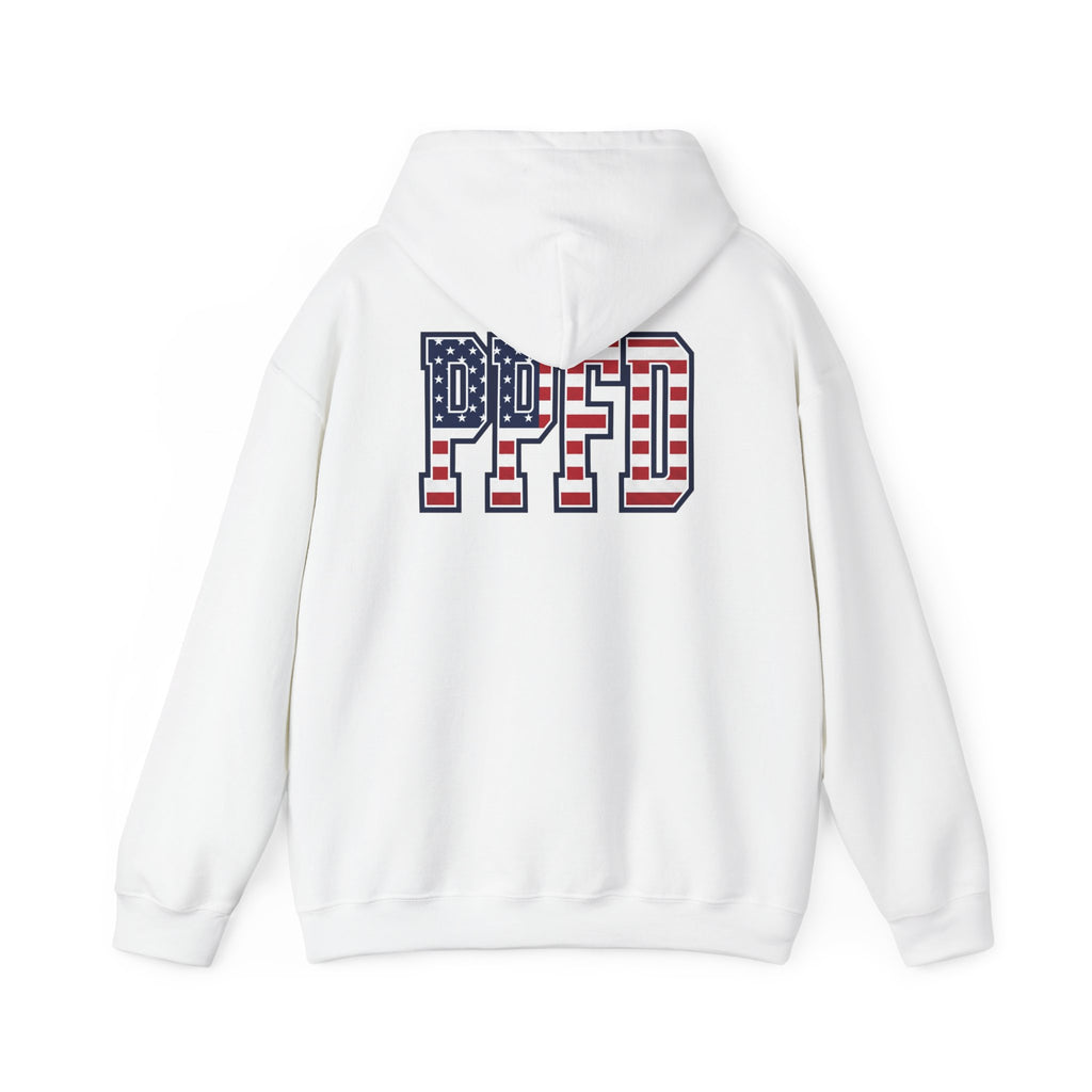 PPFD Patch Hoodie_PPFD USA_Back_Hooded Sweatshirt
