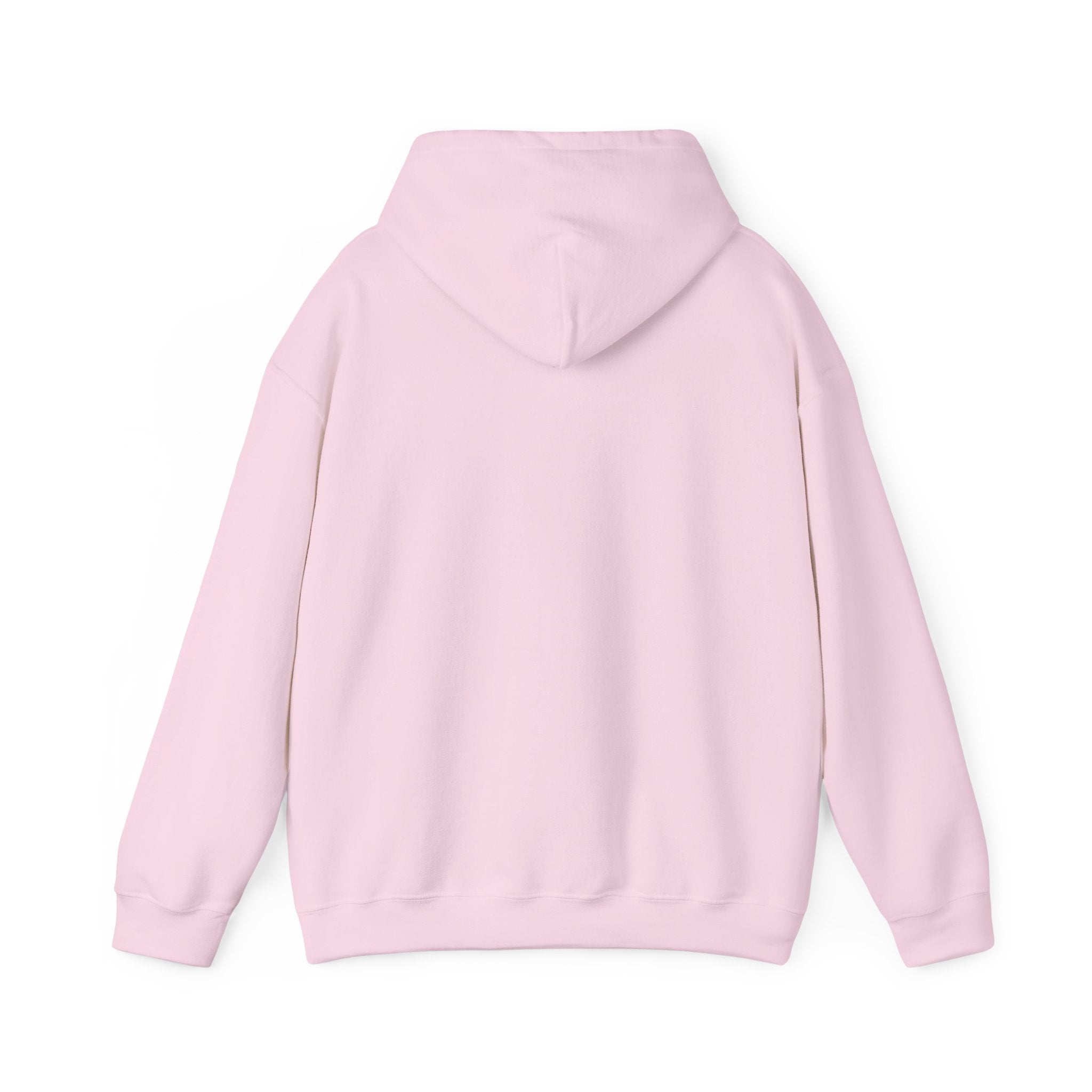 PPFD Patch Hoodie — Blank Back - Hooded Sweatshirt