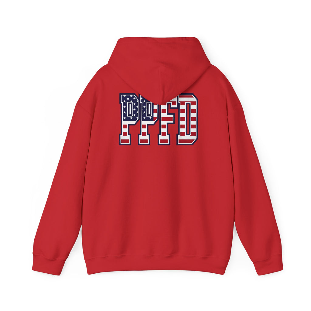 PPFD Patch Hoodie_PPFD USA_Back_Hooded Sweatshirt